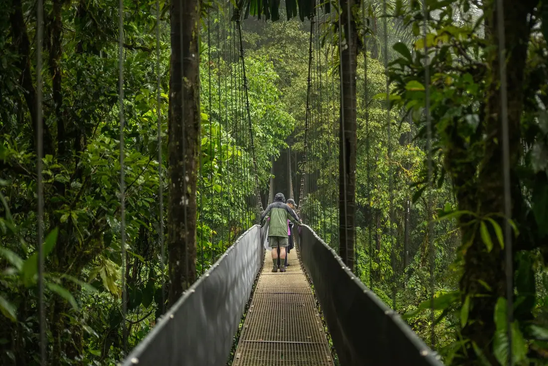 Puente colgante sobre el dosel del bosque lluvioso en Arenal Fortuna